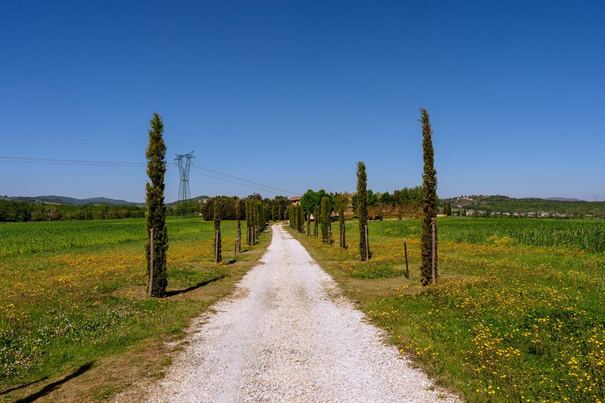 Agriturismo Le Beringhe Colle di Val d'Elsa Exterior foto